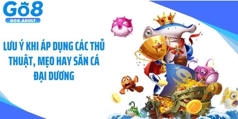 Lưu ý khi áp dụng các thủ thuật, mẹo hay săn cá đại dương